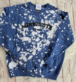 Minnesota Est. 1858 sweatshirt