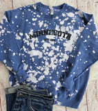 Minnesota Est. 1858 sweatshirt